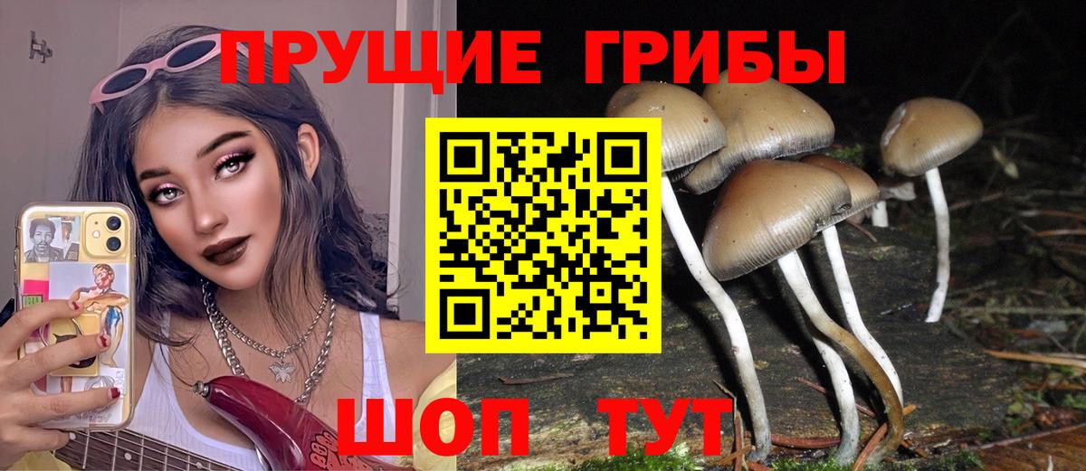 закладки  Псилоцибиновые грибы Psilocybe  Вход с VPN  Дедовск 